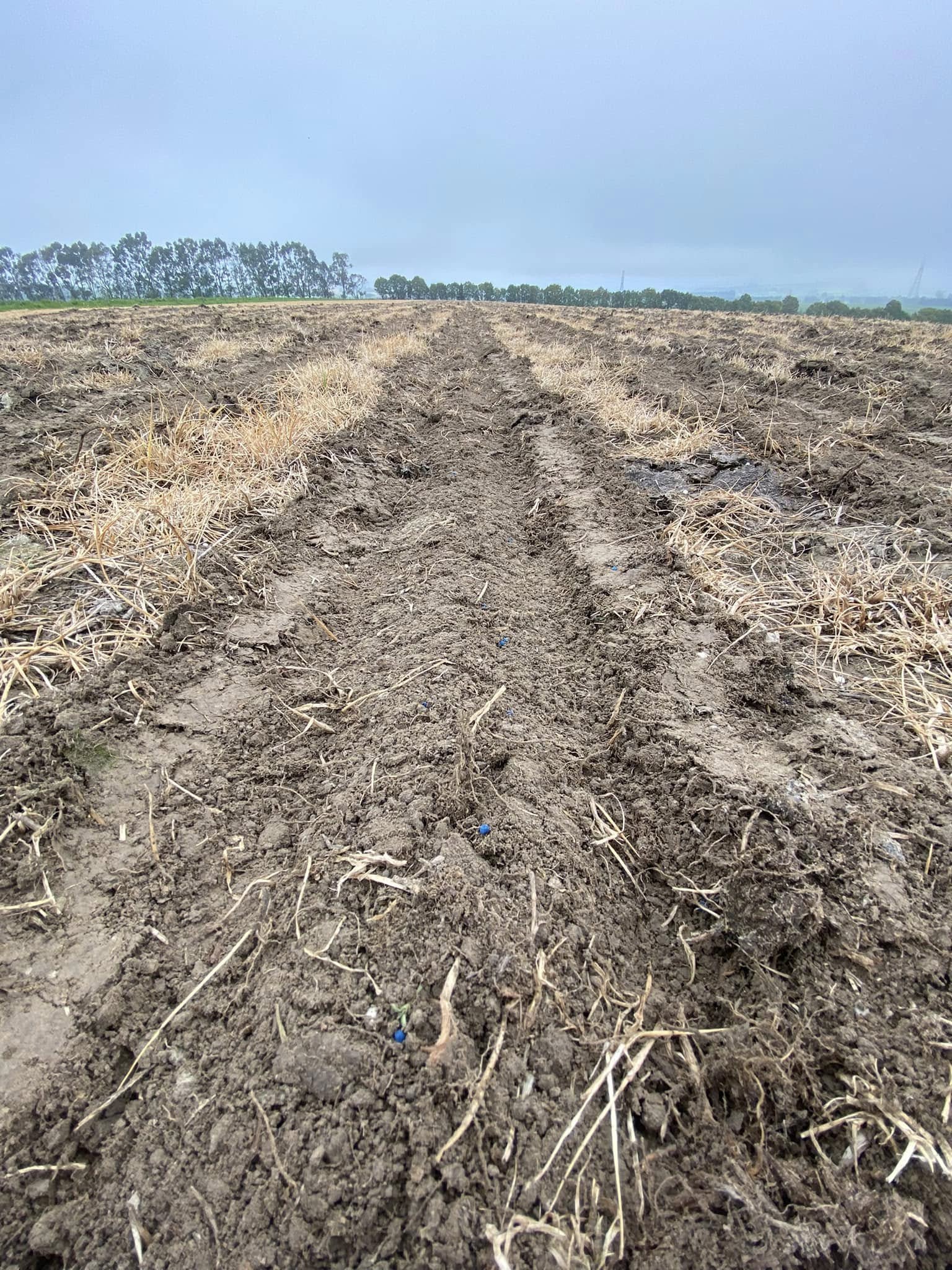 Strip Tillage, JMJS Contracting